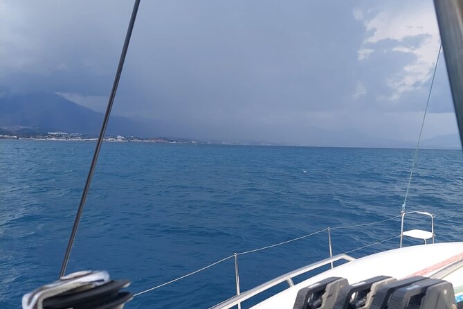 Dolphin trips on a catamaran - Who will enjoy this trip most