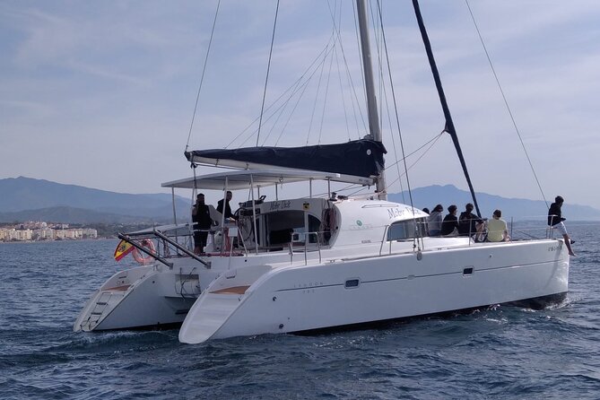 Dolphin trips on a catamaran - Practical planning for your marina departure