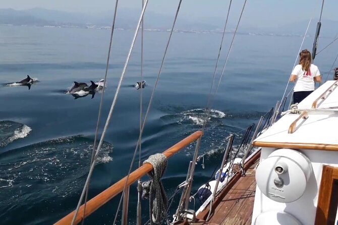 Dolphin Watching Adventure in Estepona Bay - A swim stop with sea views