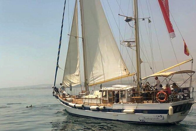 Dolphin Watching Adventure in Estepona Bay - Searching Estepona Bay for wild dolphins