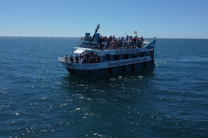 Dolphin watching on a Catamaran in Fuengirola - Key points to know before booking