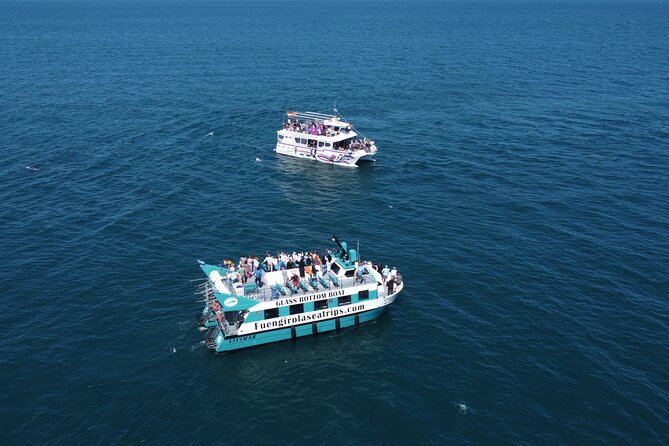 Dolphin watching on a Catamaran in Fuengirola - Weather, cancellations, and planning your day