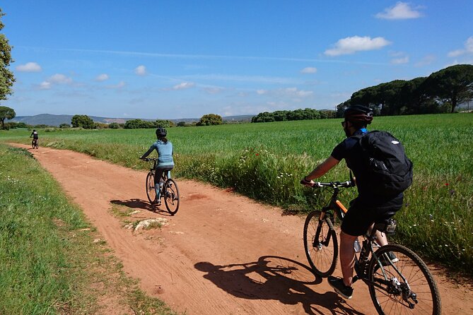 e-Bike (Self-Guided) & Winery tour - 20km Easy - What the e-bikes change