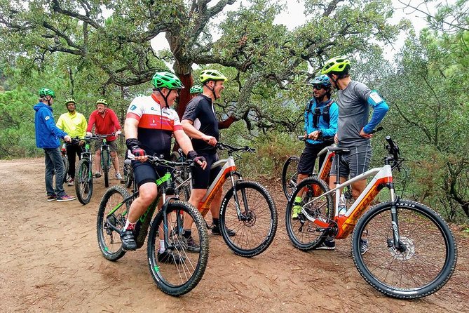 E-Mountain Bike & Wine Tour from Marbella to Sierra Blanca - Is the $118.95 price fair?