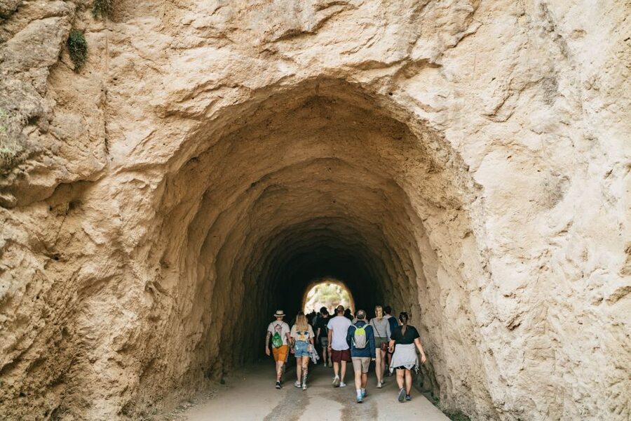 El Chorro: Caminito del Rey Guided Tour with Shuttle Bus - Languages, timing, and weather