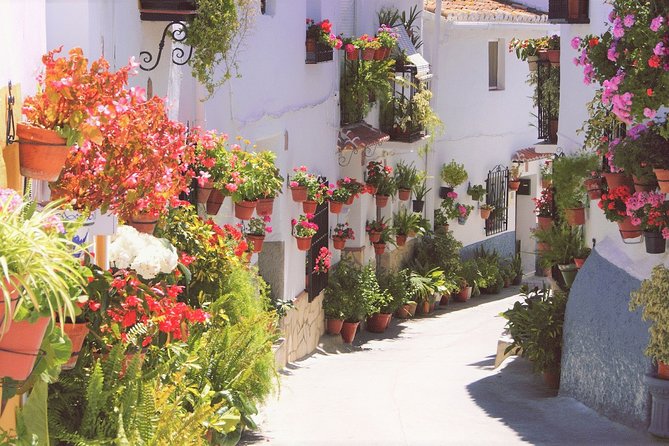 El Saltillo Gorge and White Village Hiking Tour from Malaga - From central Malaga to the white village
