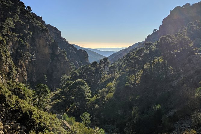 El Saltillo Gorge and White Village Hiking Tour from Malaga - The return through the mountains