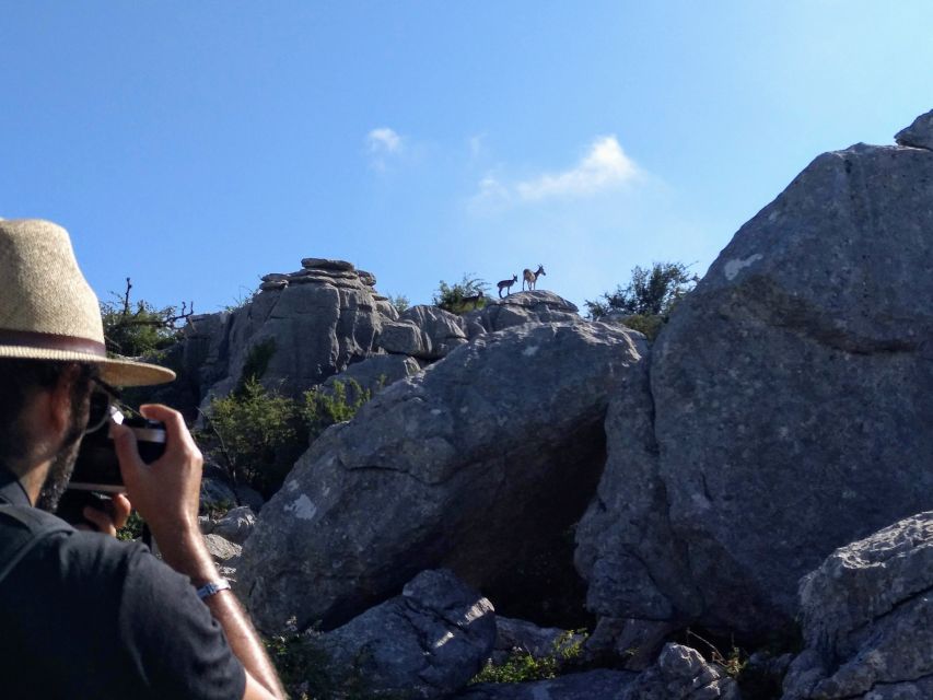 El Torcal de Antequera Hike with Transfer - Who should book this hike?