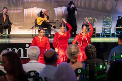 Andalusian Flamenco Show Entry Ticket with Drink