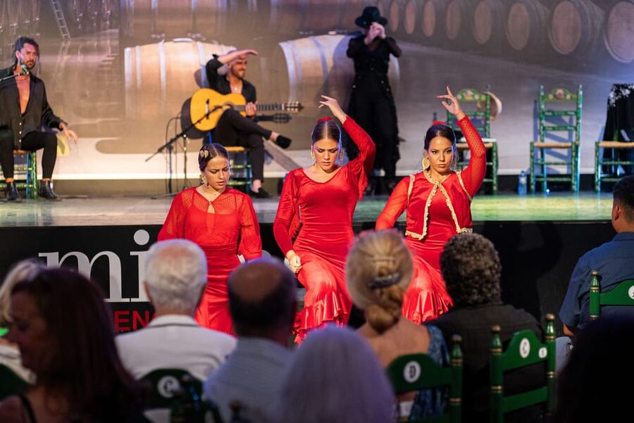 Estepona: Andalusian Flamenco Show Entry Ticket with Drink - The opening: dancers, singers, and musicians set the mood