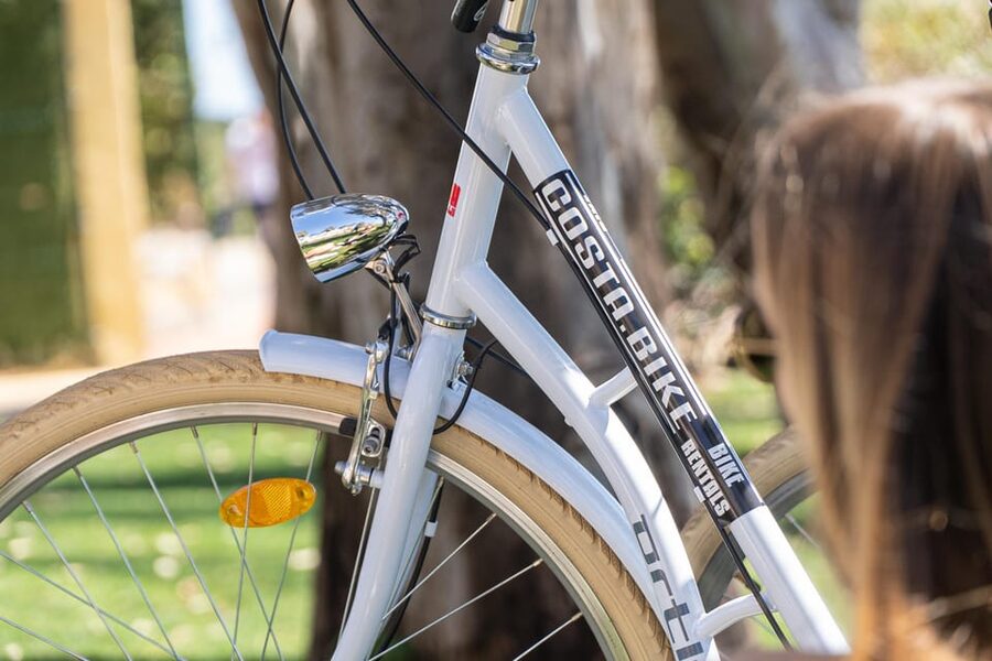 Estepona best kept secrets: City bike guided tour - Through Estepona’s flower-lined streets