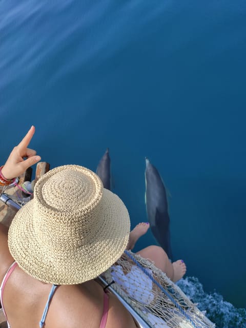 Estepona: Dolphin Search Boat Trip with Drink and Snacks - Snacks, drinks, and a friendly crew