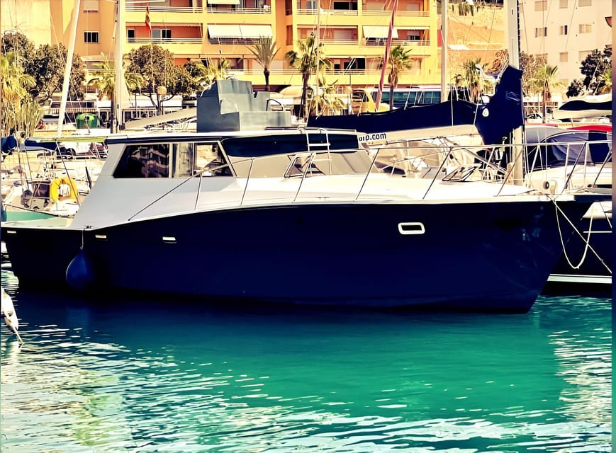 Estepona: Dolphin Searching Sunset Cruise with Drink & Snack - Shared or private: choosing the right boat setup