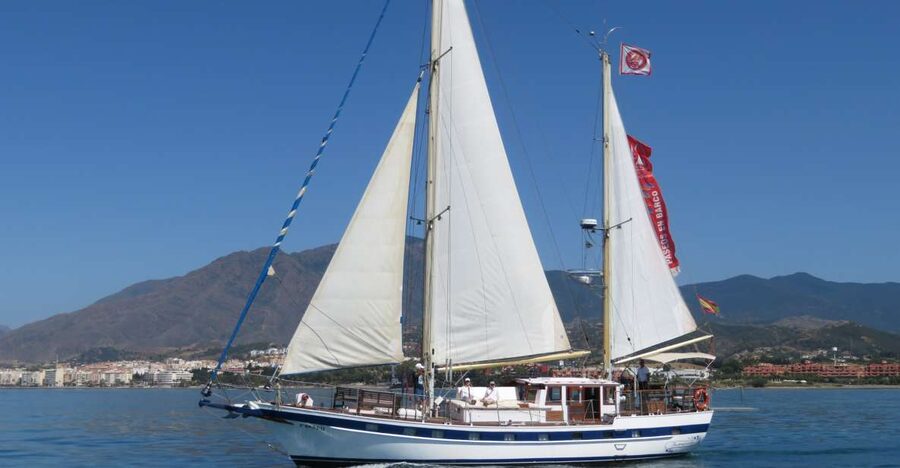 Estepona: Dolphin Watching Sailboat Cruise with Drink - Setting sail from Pontoon 6 in Estepona