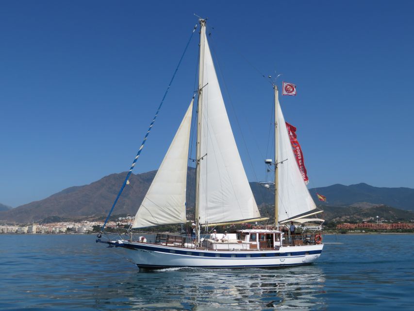 Estepona: Dolphin Watching Sailboat Cruise with Drink - Dolphin watching in Estepona Bay