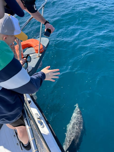 Estepona: Dolphins Searching Sea Cruise with Drink & Snacks - Should you book the La Martingala dolphin cruise?
