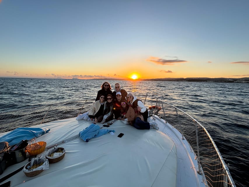 Estepona: Dolphins Searching Sea Cruise with Drink & Snacks - Searching for dolphins in the open water