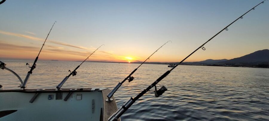 Estepona: Fishing Tour StartFisher 1060 - What the two-hour trip really gives you