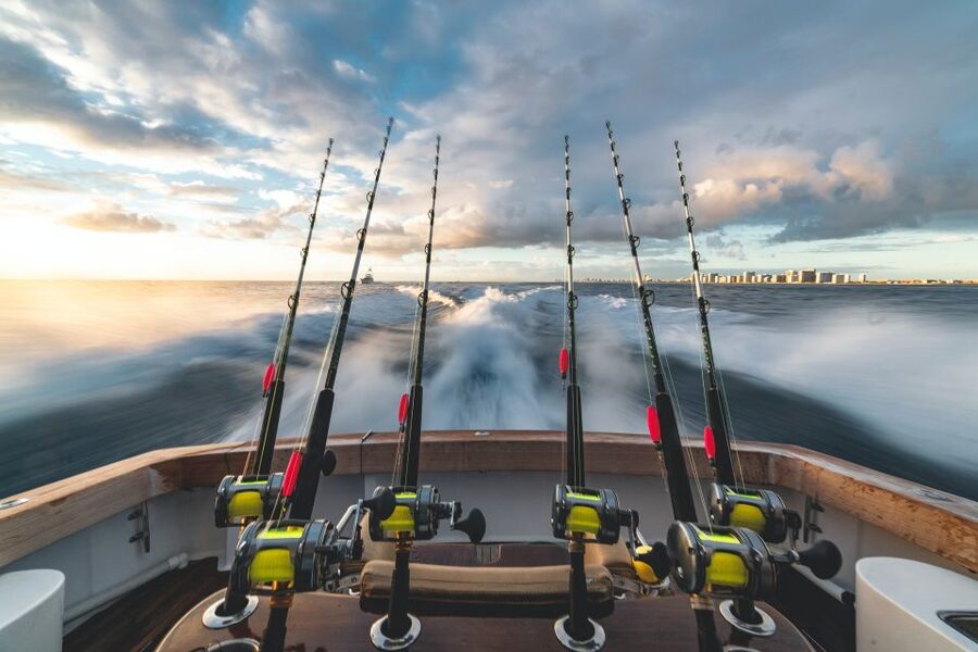 Estepona: Fishing Tour StartFisher 1060 - What to bring, and what you need to arrange yourself