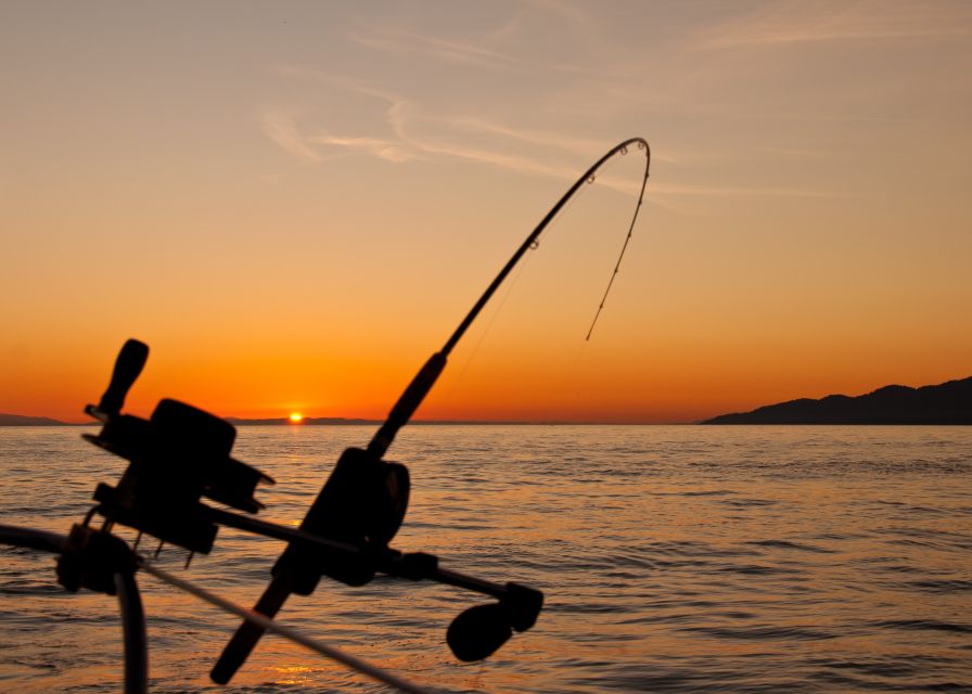 Estepona: Fishing Tour StartFisher 1060 - Is $542 good value for your group?