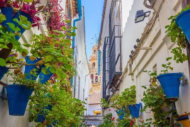 Excursion to Córdoba from Malaga - Key points to know before booking