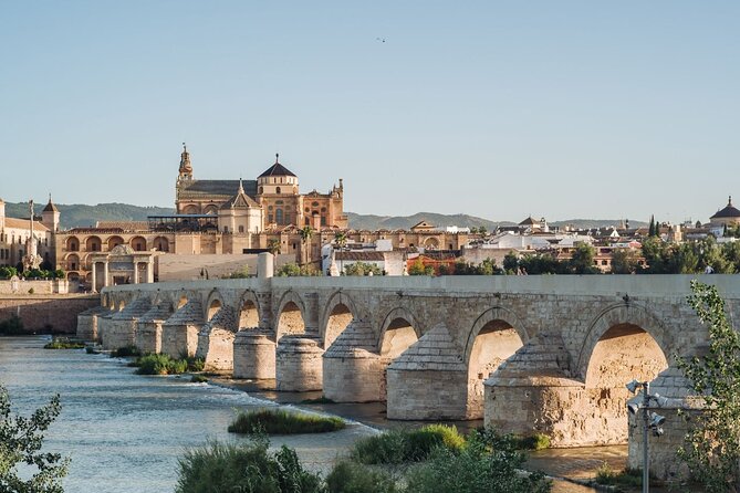 Excursion to Córdoba from Malaga - The ride through Andalusia