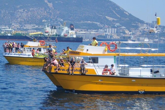 Excursion to Gibraltar with Dolphin Watching from Malaga - Three and a half hours around Main Street