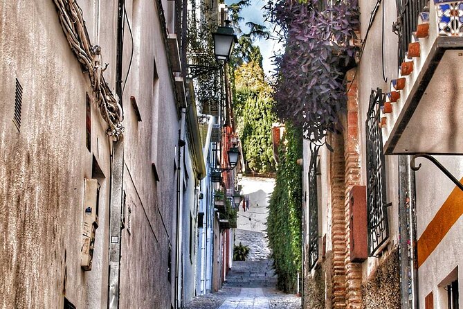 Excursion to Granada from Malaga - What the $40.52 price really buys you