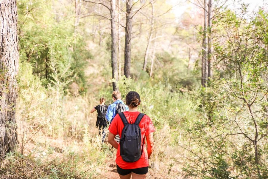 Explore Marbella's Nature: Guided Hiking And Foraging Trip - Reaching the old hermitage ruins