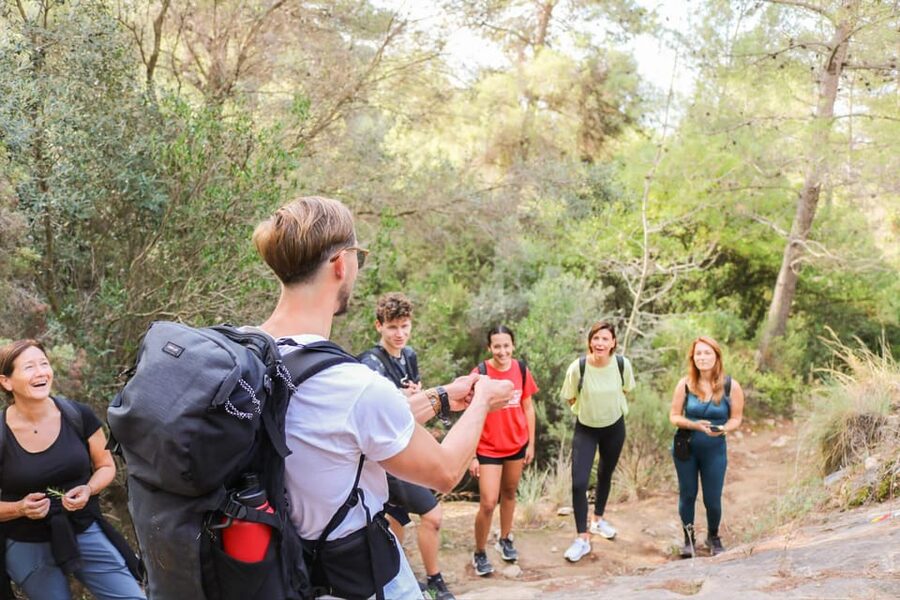 Explore Marbella's Nature: Guided Hiking And Foraging Trip - What the $33 price really covers