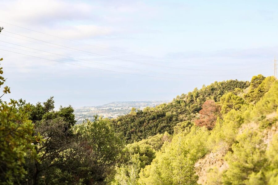 Explore Marbella's Nature: Guided Hiking And Foraging Trip - Who should book this outing