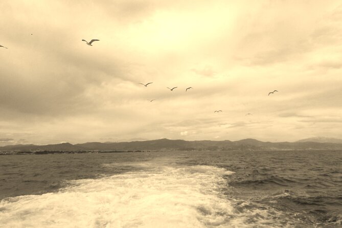 Ferry Benalmádena <> Fuengirola - Dolphins, sea air, and the value of a slow crossing