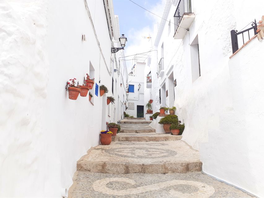 Frigiliana: Private walking tour - The viewpoint and the whitewashed town