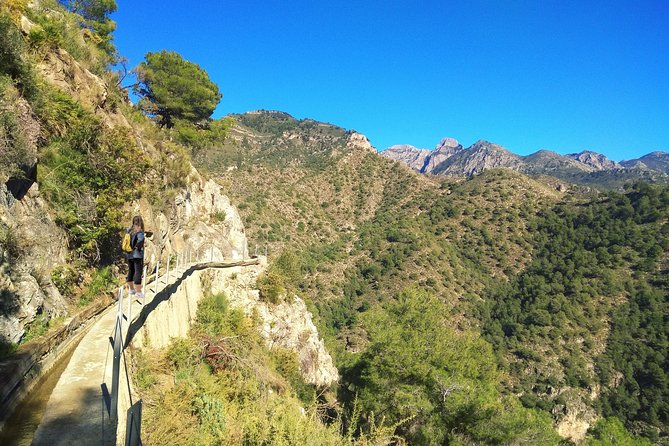 Frigiliana Small-Group Hike and Wine Tasting Tour from Malaga - Why this Frigiliana outing feels different