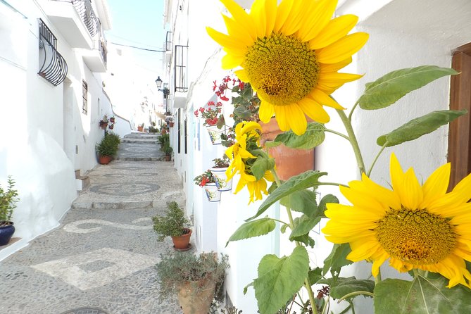 Frigiliana Small-Group Hike and Wine Tasting Tour from Malaga - Viewpoints across the Sierra Alhama, Tejeda and Almijara area