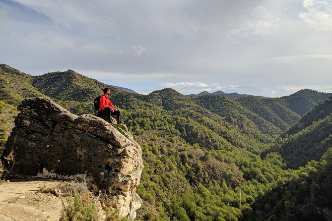 Frigiliana Small-Group Hike and Wine Tasting Tour from Malaga - Wine, tapas, and a cellar finish
