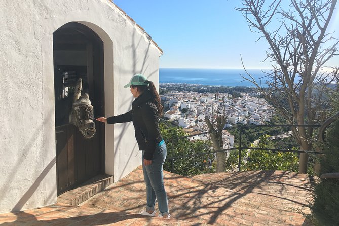 Frigiliana Small-Group Hike and Wine Tasting Tour from Malaga - What Alfonso adds to the morning