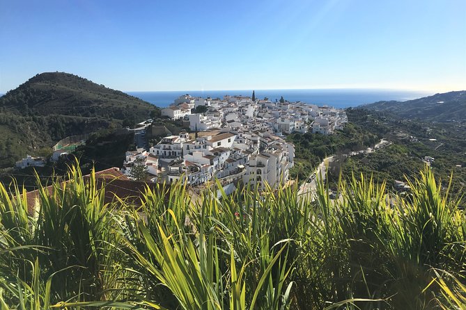 Frigiliana Small-Group Hike and Wine Tasting Tour from Malaga - From Frigiliana into avocado country