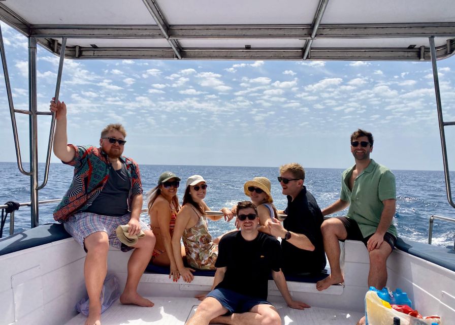 From Benalmádena & Torremolinos: Dolphin Watch Boat Trip - The 30-Minute Cruise From Lu Sea Charters