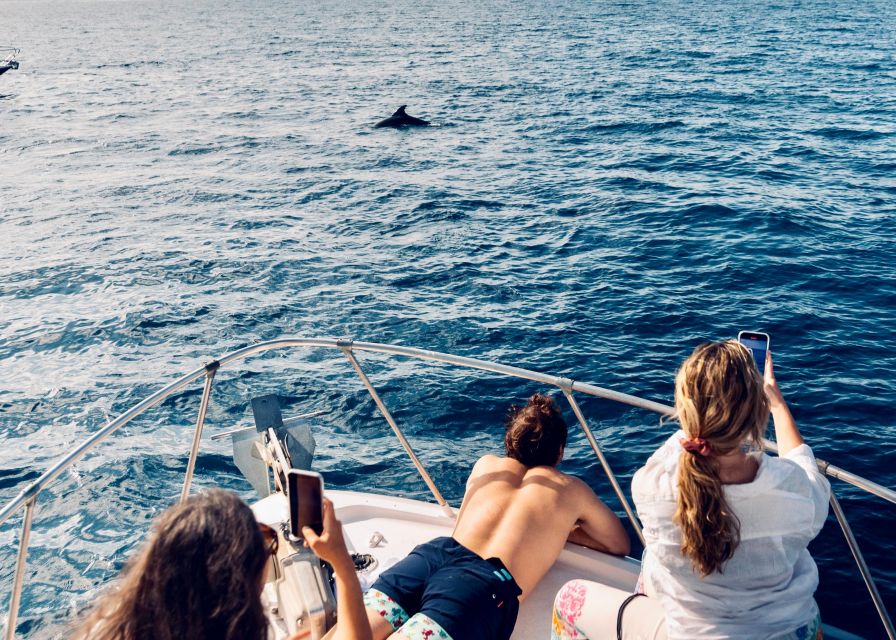 From Benalmádena & Torremolinos: Dolphin Watch Boat Trip - Is $42 a Fair Price for 90 Minutes?