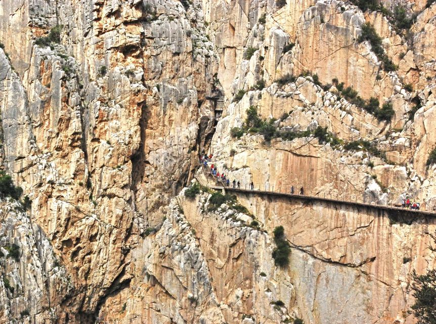 From Costa del Sol: Caminito del Rey Day Trip - Key points to know before booking