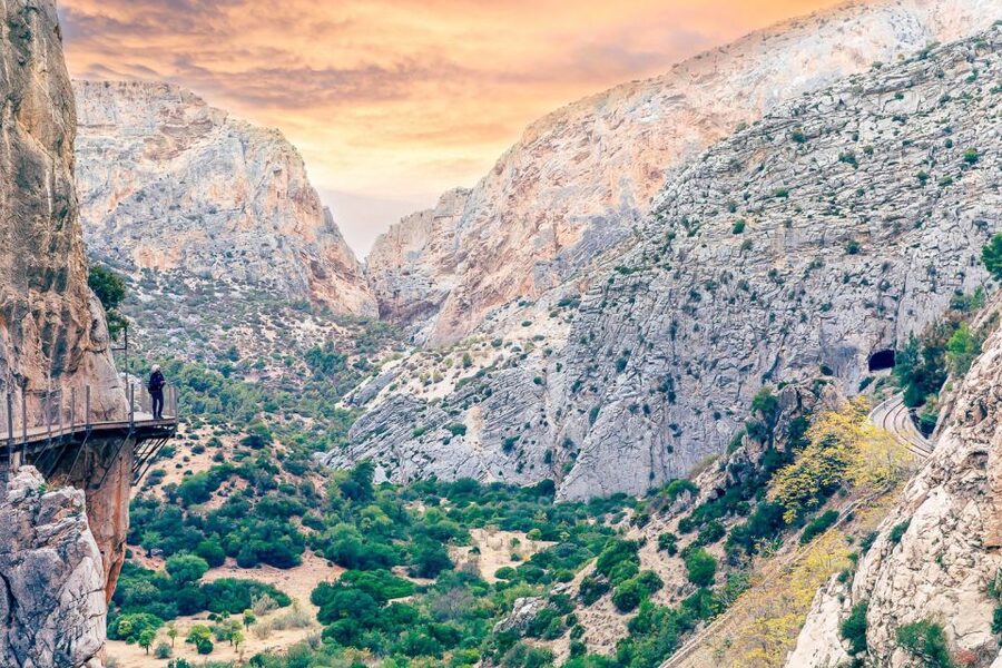 From Costa del Sol: Caminito del Rey Day Trip - The bridge and the final views