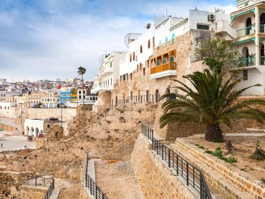 From Costa del Sol: Discover Tangier on a Guided Day Trip - Should you book it?