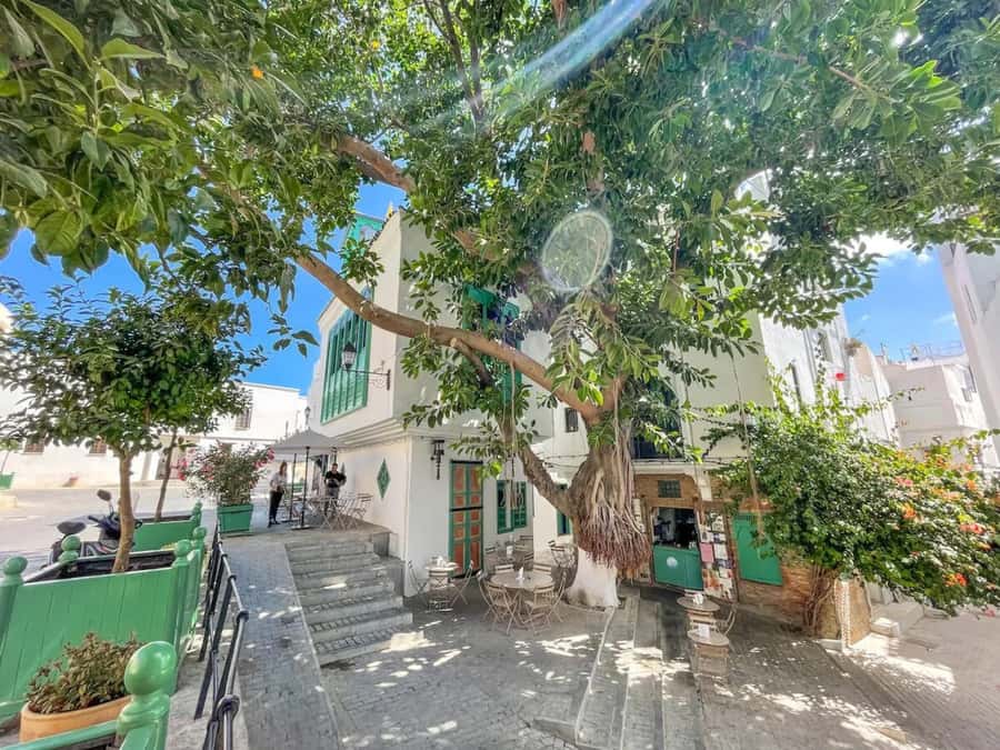 From Costa del Sol: Discover Tangier on a Guided Day Trip - Moroccan lunch and the taste of the day