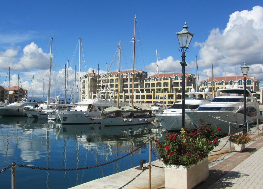 From Costa del Sol: Gibraltar Dolphin Watching by Boat - Practical tips for a smoother day