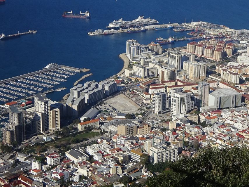 From Costa del Sol: Gibraltar Dolphin Watching by Boat - Why the Rock of Gibraltar matters to your decision