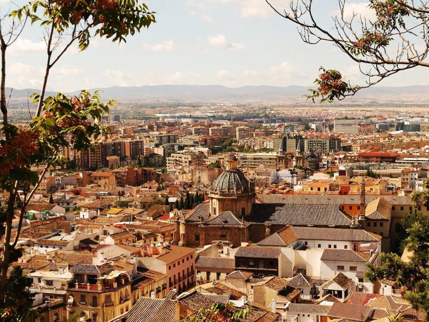From Costa del Sol: Granada Day Trip Free Time 5h - The long road from Costa del Sol to Granada