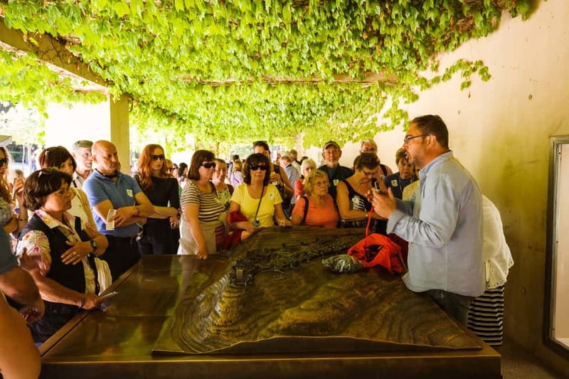 From Costa del Sol: Granada Full-Day Tour - Why Granada Makes a Worthwhile Day Trip