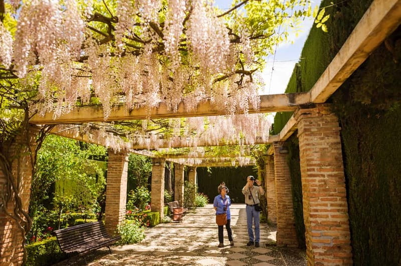 From Costa del Sol: Granada Full-Day Tour - Seeing the Alhambra and Generalife Gardens