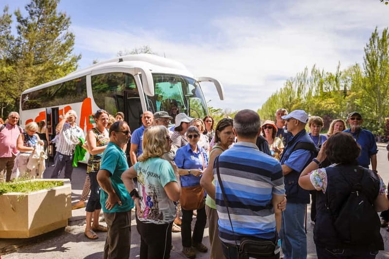 From Costa del Sol: Granada Full-Day Tour - Walking Into Granada’s Historic Center